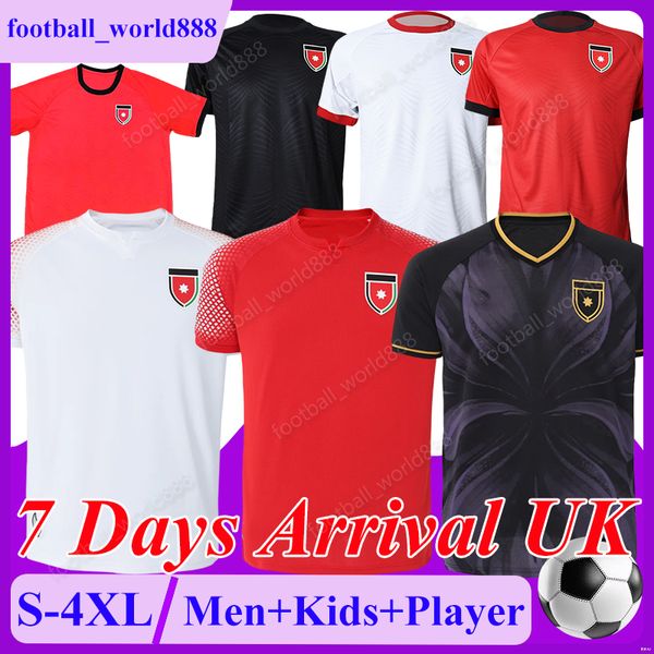 4XL Jordan 2026 World Cup Soccer Jerseys M.Tamari Sabra AL …