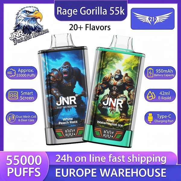 Top Best Seller JNR Rage Gorilla 55K Puffs Disposable Vape Pen, 42ml Big E-liquid Dual Mesh Coil Smart LED Screen 950mAh Type-C Rechargeable 20 Assorted Fruit Flavors