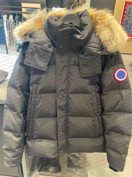 Puffer Jackets Mens Real Coyote Fur Outdoor Wyndham Windbre…