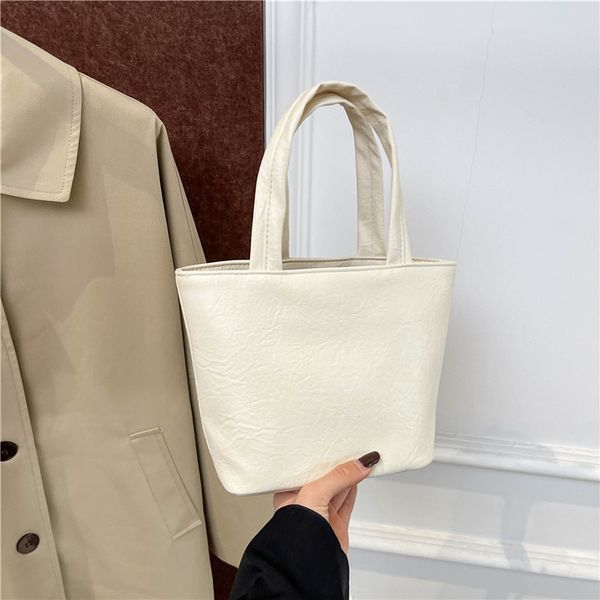 B270M Aster Quality Cosmetic Bag For Women