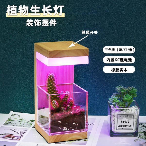Creative Plant Grow Light, Rubber Wood Acrylic Ambient Lamp, Touch Rechargeable Desk Decor Light