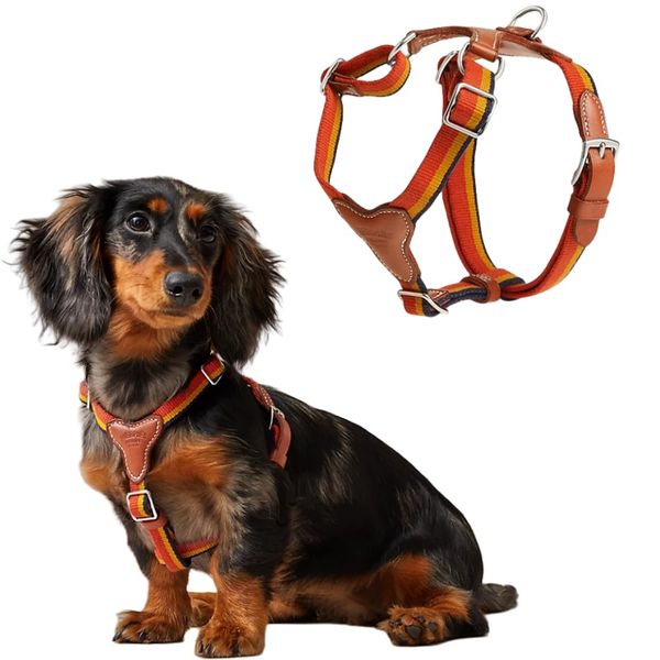 Luxury Soft Leather Dog Harness and Leash Set Adjustable No Pull Puppy Vest With Gift Box For Small Medium Dogs Wholesale