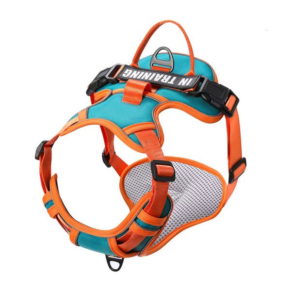 personalized dog harness, vest-style, reflective, breathable, niche, for large dogs