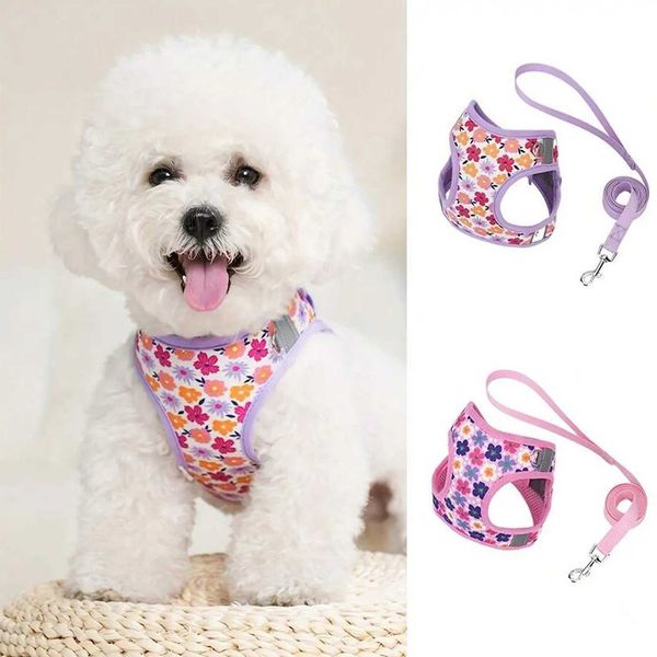 HD009-Flower Printed harness for Small to medium size dogs Soft mesh padded and night reflective strips 15-meter leash H260416