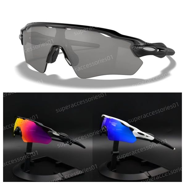 Black Polarized Sun…