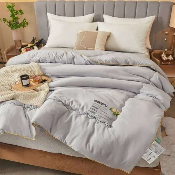 2024 New Class A Skin-friendly Soft Warm Thickened Winter Silk Quilt Core four season universal blanket 26Y0612