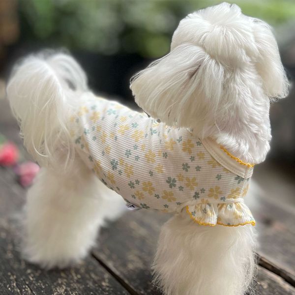 Coog Vest for Dogs Puppy Summer Clothes ral Pattern Costume Flying Sleeves Cat Vests Chihuahua Bichon Girls Dog Shirt, Pink
Coog Vest for Dogs Puppy Summer Clothes ral Pattern Costume Flying Sleeves Cat Vests Chihuahua Bichon Girls Dog Shirt, Pink