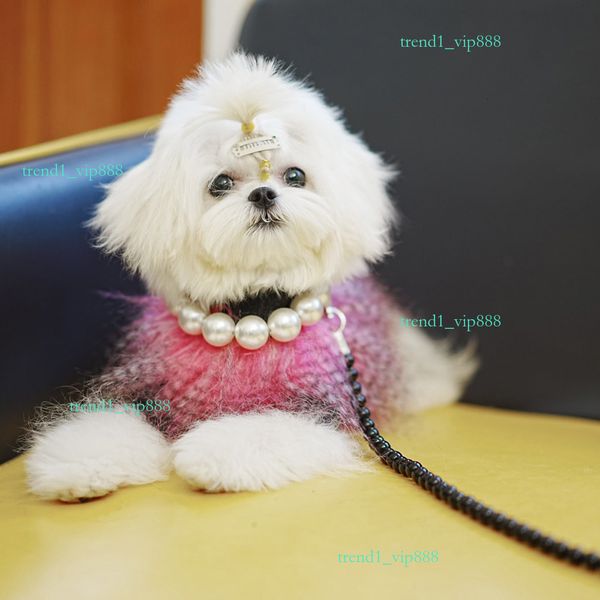 Fashion pearl Pet for small dogs and cats clothes all season universal chest strap chain, supplies, dog collar designer harness 17f, Beige
Fashion pearl Pet for small dogs and cats clothes all season universal chest strap chain, supplies, dog collar designer harness 17f, Beige