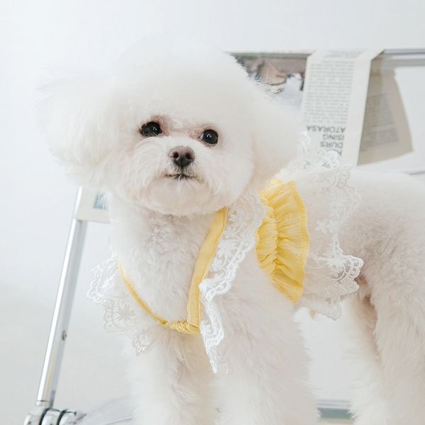Summer Clothes Puppy Kitten Dress Lace Apparel Chihuahua Bichon Yorkie Costume Pet Clothing 2024 Dog Coog Vest, Beige
Summer Clothes Puppy Kitten Dress Lace Apparel Chihuahua Bichon Yorkie Costume Pet Clothing 2024 Dog Coog Vest, Beige