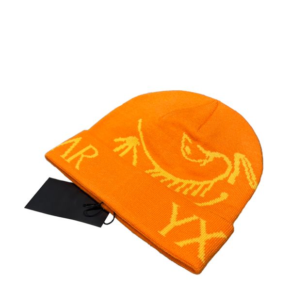 Winter Knitted Designer Beanie Designer Cap Fashionable Bonnet Dr Autumn Hats For Men Skull Outdoor Womens Cappelli Travel Skiing Knitted Hat pelli
Winter Knitted Designer Beanie Designer Cap Fashionable Bonnet Dr Autumn Hats For Men Skull Outdoor Womens Cappelli Travel Skiing Knitted Hat pelli