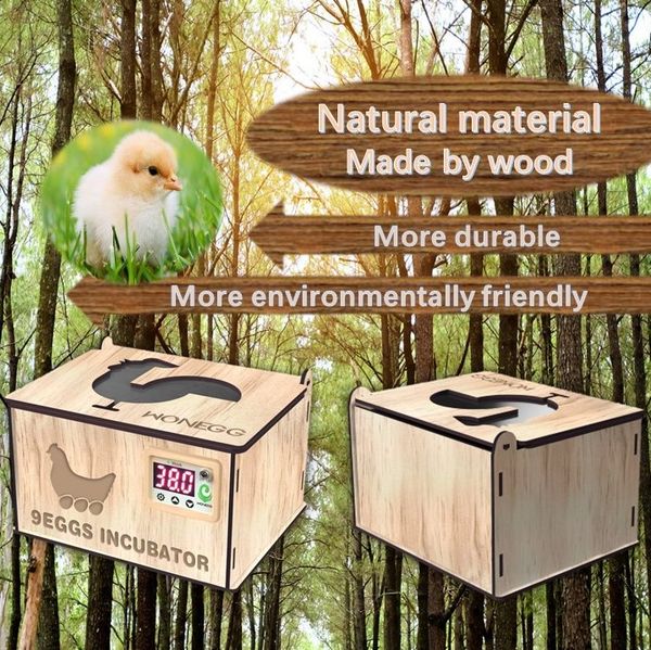 Egg Incubator For H…