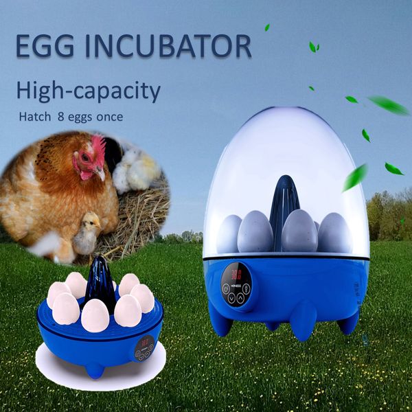 Egg incubator for hatching eggs automatic temperature control automatic flipping of eggs temperature display
Egg incubator for hatching eggs automatic temperature control automatic flipping of eggs temperature display