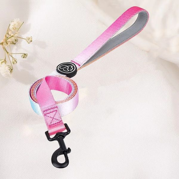 2024 New Spring Summer Designer Tie Strap Fashion High Quality Gradient Color Pet Supplies Cat And Medium Large Dog Chain Db6, Black
2024 New Spring Summer Designer Tie Strap Fashion High Quality Gradient Color Pet Supplies Cat And Medium Large Dog Chain Db6, Black