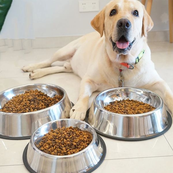 6 Size Pet Dog Cat Bowls Stainless Steel Feeding Feeder Water Bowl for Pet Dog Cats Puppy Outdoor Food Dish XSSMLXLXXL 240828