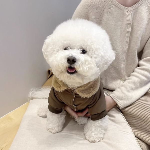 Waterproof Jacket Pet Clothes Dog Coat Puppy Warm Overalls Chihuahua French Bulldog Costume High Collar Sweatshirt Winter, White
Waterproof Jacket Pet Clothes Dog Coat Puppy Warm Overalls Chihuahua French Bulldog Costume High Collar Sweatshirt Winter, White