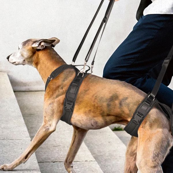 Equipment Auxiliary Belt For Disabled Dog Harness Vest Front Rear Legs Rehabilitation Traning Tool Aged Cat Assist In Walking Pet Supplies
Equipment Auxiliary Belt For Disabled Dog Harness Vest Front Rear Legs Rehabilitation Traning Tool Aged Cat Assist In Walking Pet Supplies