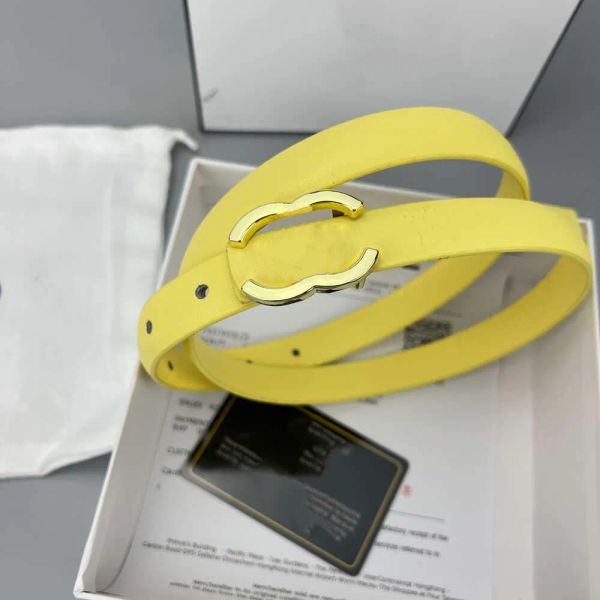Designer Belt For Women High Quality Women Designer Belts Smooth Buckle Casual Dress Womens White Collar Clothing Waistband Fashion Classic 2.0cm Width Belt
Designer Belt For Women High Quality Women Designer Belts Smooth Buckle Casual Dress Womens White Collar Clothing Waistband Fashion Classic 2.0cm Width Belt