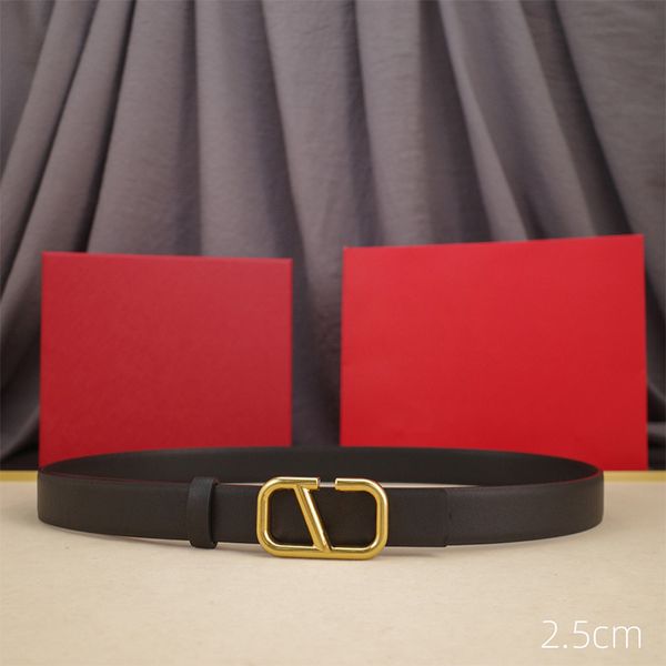 

Reversible Designer Belt Genuine Leather Belts for Women Men Width 2.5cm Classic Ladies Smooth Buckle Waistband High Quality 90-125cm Length, V4