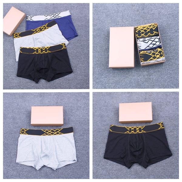 

24ss Mens Designers Boxers Brands Underpants Sexy Classic Mens Boxer Casual Shorts Underwear Breathable Cotton Underwears 3pcs With Box, 2.