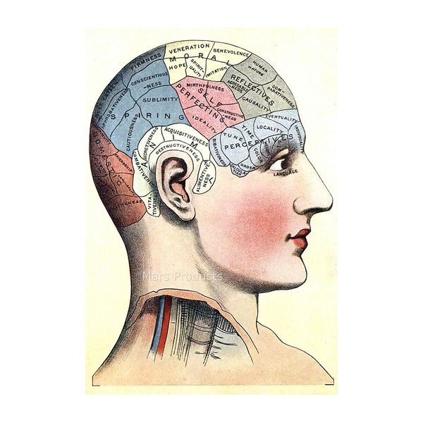 1914 Phrenology Head Vintage Style Medical Science Poster Canvas Print 
1914 Phrenology Head Vintage Style Medical Science Poster Canvas Print