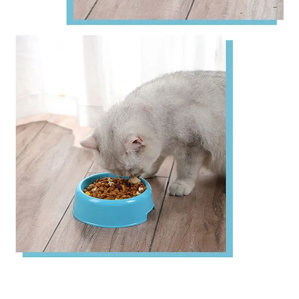 139752 Dog Cat Bow lRound Water Food Feeder Feeding Drinking Round Bowl for Dogs Cats Kitten Puppy Small Animal Pet Accessories, Color1
139752 Dog Cat Bow lRound Water Food Feeder Feeding Drinking Round Bowl for Dogs Cats Kitten Puppy Small Animal Pet Accessories, Color1