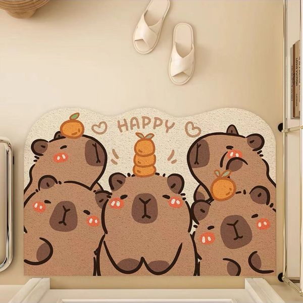 Entrance Floor Mats…