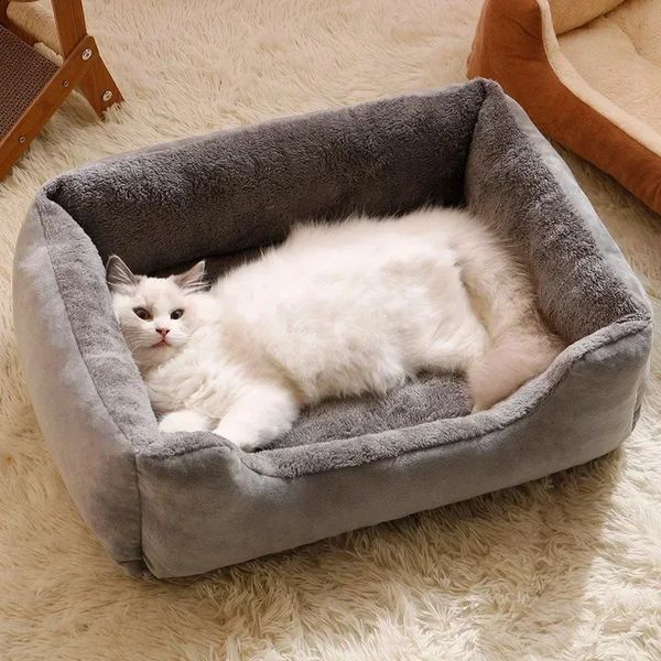 Cat beds dog mats bedding pet and puppy accessories all products cat furniture household items 240724, Black
Cat beds dog mats bedding pet and puppy accessories all products cat furniture household items 240724, Black