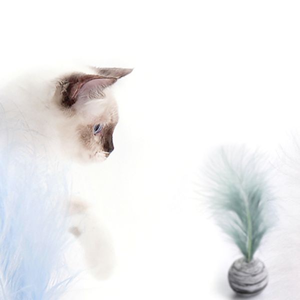 1~10PCS Star Texture Feather EVA Material Light Foam Throwing Toy Interactive Ball Pet Cat, Violet
1~10PCS Star Texture Feather EVA Material Light Foam Throwing Toy Interactive Ball Pet Cat, Violet