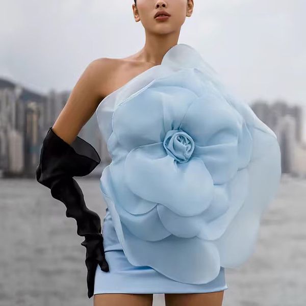 new fashion big flower sexy sweet style off shoulder flowers decoration party evening design dress for women lady female free ship 1121, Blue
new fashion big flower sexy sweet style off shoulder flowers decoration party evening design dress for women lady female free ship 1121, Blue