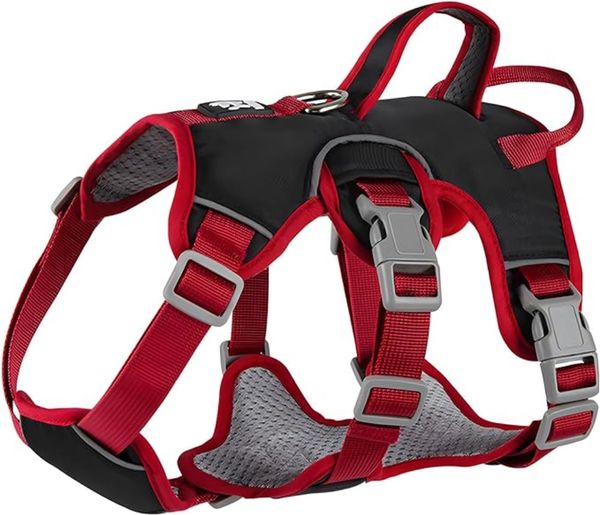 Escape Proof Dog Harness, Soft Padded Full Body Pet Harness, Reflective Adjustable No Pull Vest with Lift Handle and Leash Clip for Large Dogs Walking Hiking Training, Multi color
Escape Proof Dog Harness, Soft Padded Full Body Pet Harness, Reflective Adjustable No Pull Vest with Lift Handle and Leash Clip for Large Dogs Walking Hiking Training, Multi color