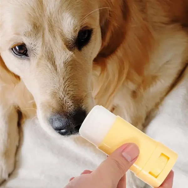 15gPet Paw Balm Cat Dog Caring Supplies Foot Moisturizer Household Care Winter Paws Cream Cat Grooming Dog Supplies Pet Products
15gPet Paw Balm Cat Dog Caring Supplies Foot Moisturizer Household Care Winter Paws Cream Cat Grooming Dog Supplies Pet Products