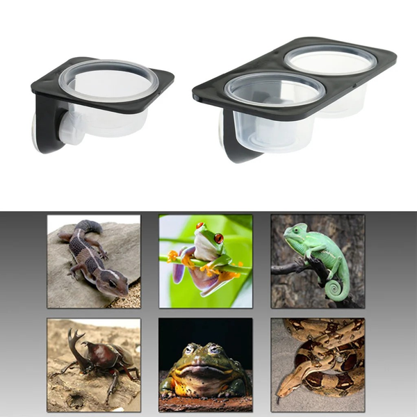 Reptiles & Amphibians Lizard Gecko Suction Cup Feed Bowls Food Container with Bowl for Reptile Food and Water Feeding
Reptiles & Amphibians Lizard Gecko Suction Cup Feed Bowls Food Container with Bowl for Reptile Food and Water Feeding