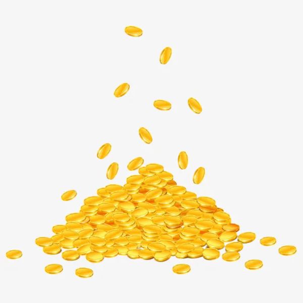 Goods Payment Link …