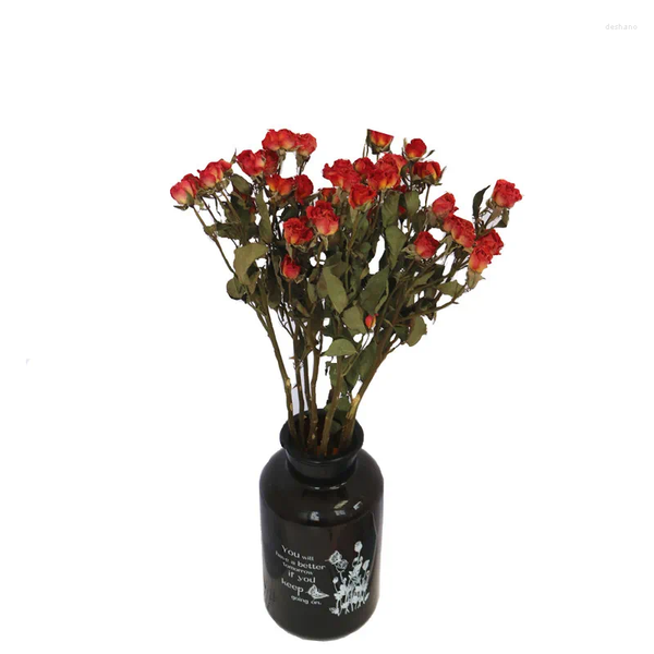 Flowers Decorative 15pcs Nutral Dried MIni Rose Bunch Romantic Bubble Small Flower Dry Bouquet Home Furnishing Decorate, 15 pcs mixed color
Flowers Decorative 15pcs Nutral Dried MIni Rose Bunch Romantic Bubble Small Flower Dry Bouquet Home Furnishing Decorate, 15 pcs mixed color