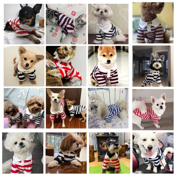 Summer Polo Shirt Puppy Clothes Bichon Frise Chihuahua Stripe Sweatshirt Dog Coog Vest for Small and Medium Dogs, Pink
Summer Polo Shirt Puppy Clothes Bichon Frise Chihuahua Stripe Sweatshirt Dog Coog Vest for Small and Medium Dogs, Pink