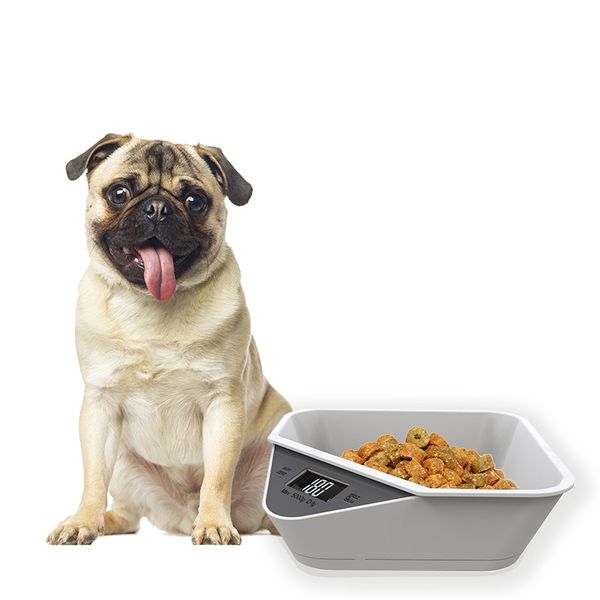Electronic Kitchen Scale Digital Pet Cat Dog Smart Measure Tool with Tray Home Smart Weight Scale Home Kitchen Tools Accessories