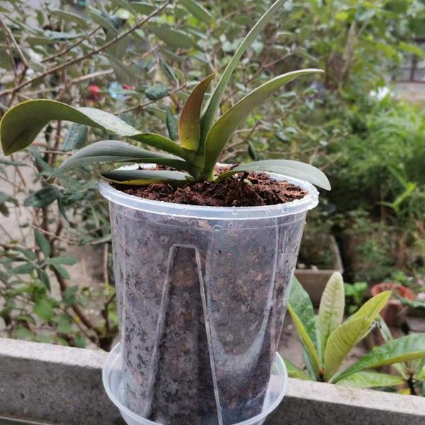 5Pcs Reinforced Clear Nursery Pots with Drainage Hole Transparent Nursery Pots Variety Pack Plastic Plant Pot Seedling Planter