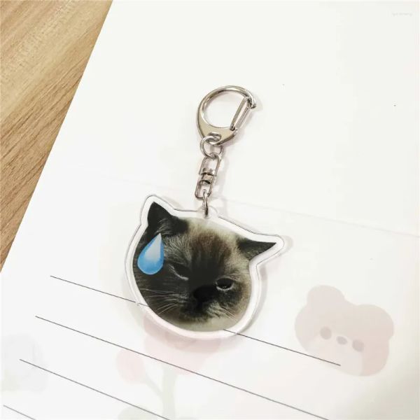 Keychains Animal Keychain Interactive Rich And Colorful Portable Puzzle Toys Creative Cute Pendant BFP2410216 PTP1
Keychains Animal Keychain Interactive Rich And Colorful Portable Puzzle Toys Creative Cute Pendant BFP2410216 PTP1