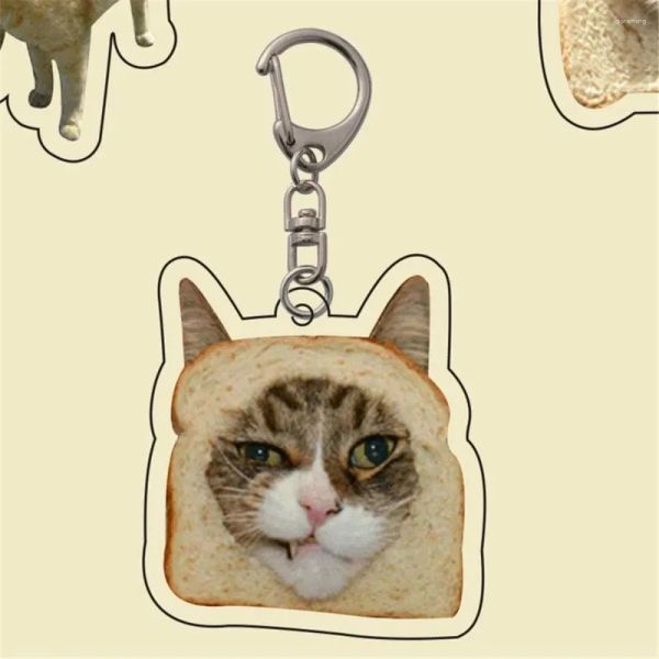 Fashion Keychains Animal Keychain Interactive Rich And Colorful Portable Puzzle Toys Creative Cute Pendant BFP2410216 PTP2
Fashion Keychains Animal Keychain Interactive Rich And Colorful Portable Puzzle Toys Creative Cute Pendant BFP2410216 PTP2