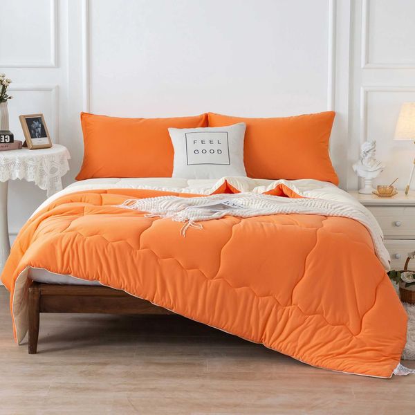 Lamb Wool Thickened Quilt Core Double Winter Comforter Milk Velvet Spring And Autumn Quilt Plus Velvet Coral Velvet Thick QuiltXJ241024