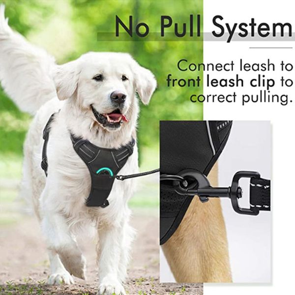 Breathable Pet Harness Providing Firm Grip During Outdoor Activities - Ideal for Safety and Convenience, Black
Breathable Pet Harness Providing Firm Grip During Outdoor Activities - Ideal for Safety and Convenience, Black