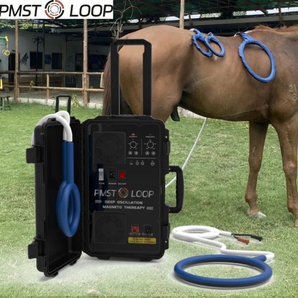 pmst loop physio magneto therapy magnawave device helps the horse by improving cellular function
pmst loop physio magneto therapy magnawave device helps the horse by improving cellular function