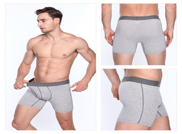men039s 3 pack performance boxer short long leg underwear with opening pouches flexible trunks pant male cotton briefs for spor5706394, Black;white
men039s 3 pack performance boxer short long leg underwear with opening pouches flexible trunks pant male cotton briefs for spor5706394, Black;white