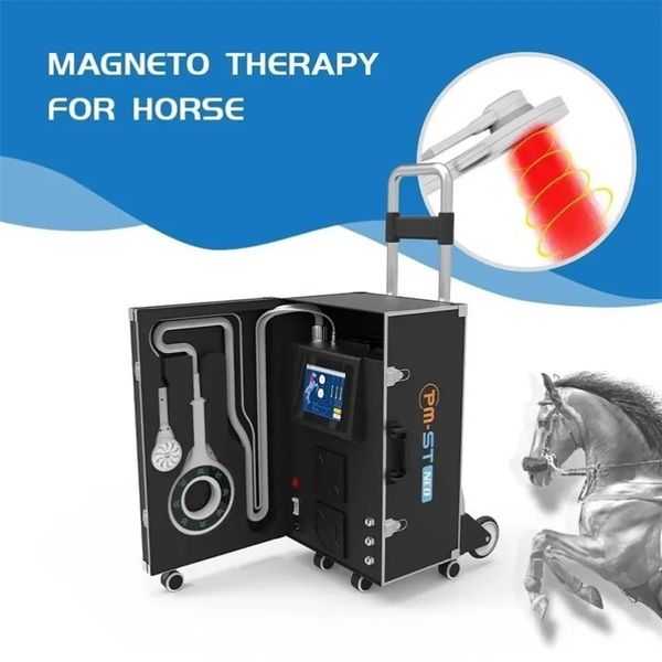 equine loop pemf physio magneto vet for horse treatment therapies rehabilitating and injured
equine loop pemf physio magneto vet for horse treatment therapies rehabilitating and injured