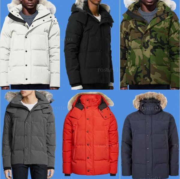 winter fourrure down parka puffer jacket homme jassen chaquetas canadian wolf fur hooded fourrure manteau wyndham jacket coat hiver doudoune, Black
winter fourrure down parka puffer jacket homme jassen chaquetas canadian wolf fur hooded fourrure manteau wyndham jacket coat hiver doudoune, Black
