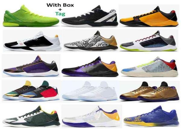 mamba zoom 5 protro bruce lee what if lakers tucker big stage chaos rings eybl metallic gold 6 grinch mamba forever basketball sho4529932
mamba zoom 5 protro bruce lee what if lakers tucker big stage chaos rings eybl metallic gold 6 grinch mamba forever basketball sho4529932