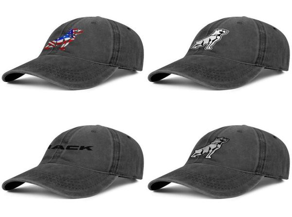 mack trucks dog american vintage old custom vintage denim adjustable wash fishing hats classic caps american flag car4929003, Blue;gray
mack trucks dog american vintage old custom vintage denim adjustable wash fishing hats classic caps american flag car4929003, Blue;gray