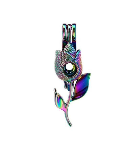 10pcslot rainbow color lovers039 tulip rose beads cage locket pendant diffuser aromatherapy perfume essential oils diffuser fl6561953, Silver
10pcslot rainbow color lovers039 tulip rose beads cage locket pendant diffuser aromatherapy perfume essential oils diffuser fl6561953, Silver