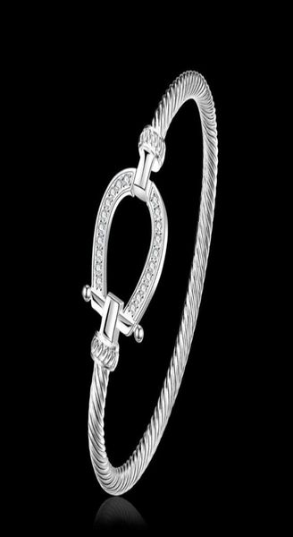 kinitial 925 silver horse shoe bracelets bangles smooth steel ed wire bracelet germanium accessories for women bangle7209146, Black
kinitial 925 silver horse shoe bracelets bangles smooth steel ed wire bracelet germanium accessories for women bangle7209146, Black