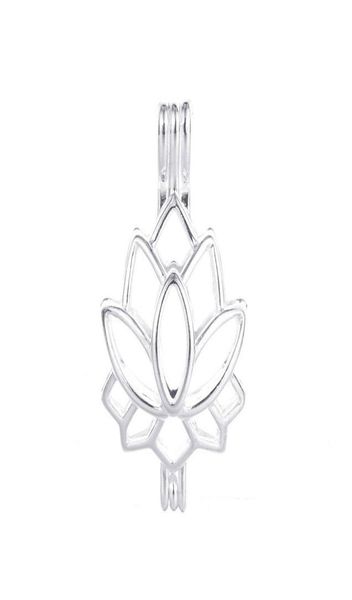 10pcs pearl cage necklace pendant lockets essential oil diffuser lotus provides silverplated silver plus your own pearl makes it 4616676
10pcs pearl cage necklace pendant lockets essential oil diffuser lotus provides silverplated silver plus your own pearl makes it 4616676